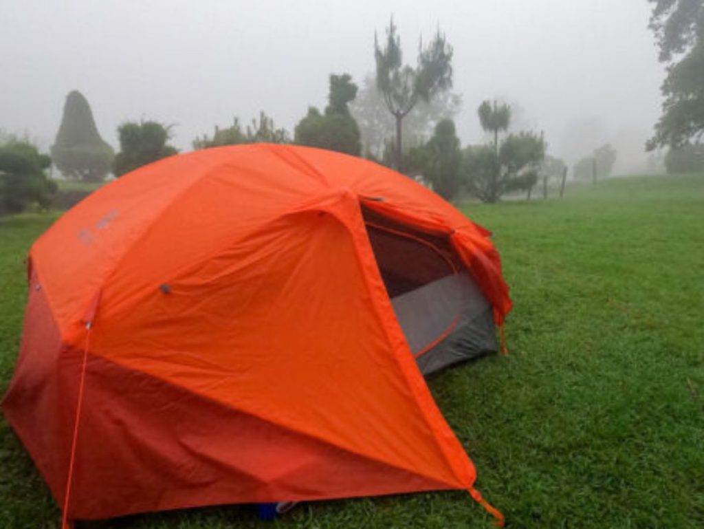Desde Casa Cristal se organizan caminatas hacia los volcanes de Santa Ana e Izalco, rutas populares entre los amantes del turismo de aventura.