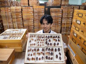 Cristian Lucanas, entomólogo de la Universidad de Filipinas Los Baños, muestra especímenes de cucarachas preservadas en un laboratorio universitario en Los Baños, al sur de Manila.