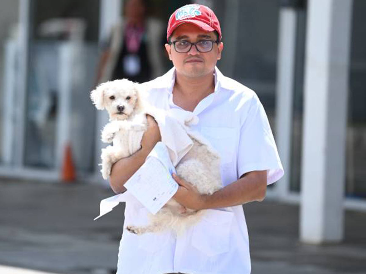 El peso en los perros y la edad en los gatos marcan el inicio de la etapa senior, una fase que implica cambios en la dieta, las rutinas y el seguimiento veterinario.