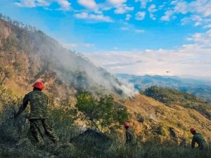El terreno complicado y la vegetación seca dificultaron las labores para controlar el fuego en Chalatenango.