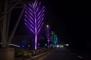El alcalde de Santa Ana Oeste, Jorge Castro, informó que el proyecto de las denominadas “Palmeras de Qatar” continuará expandiéndose. Foto/ Captura de pantalla