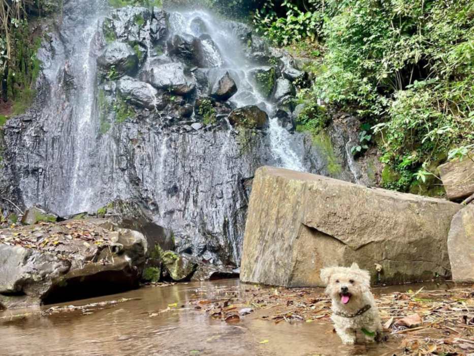 Finca Santa Adelaida combina naturaleza, tranquilidad y aprendizaje agrícola en Comasagua.