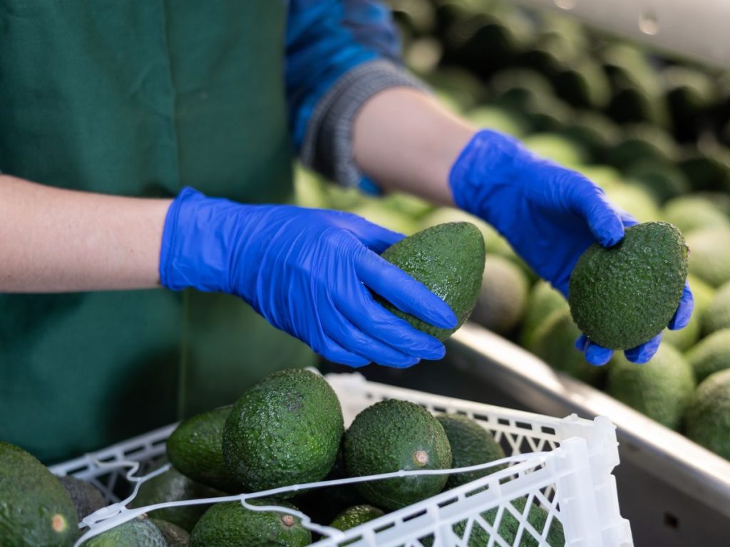El aumento de costos energéticos y agrícolas puede trasladarse al precio de los alimentos y afectar la disponibilidad en los mercados internacionales.
