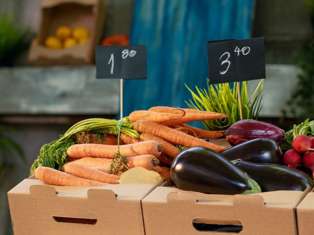 Datos presentados por CAMPO evidencian la brecha entre producción y consumo de alimentos en El Salvador.