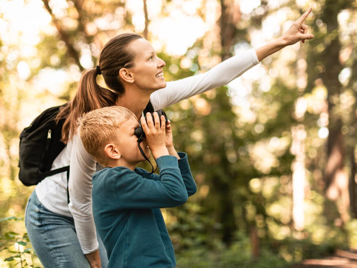 Parques y reservas del país serán escenario del Centroamérica Big Day 2026, una jornada regional para observar aves y aportar datos a plataformas como eBird.