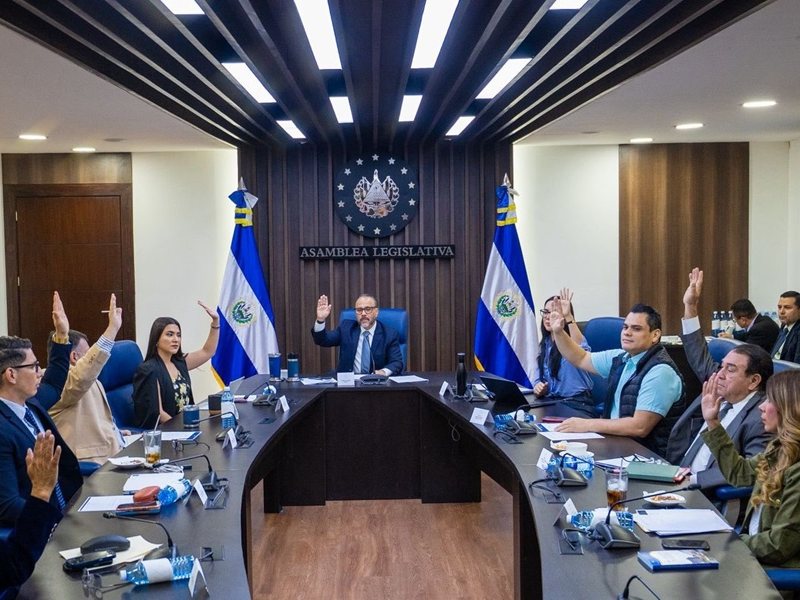 Comisión Política avaló reformas que incorporan cadena perpetua para delitos graves y cómplices necesarios.