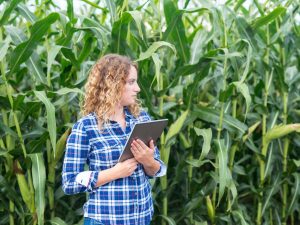 La producción agrícola y acuícola en El Salvador muestra una fuerte concentración territorial, según el Censo Agropecuario 2025.