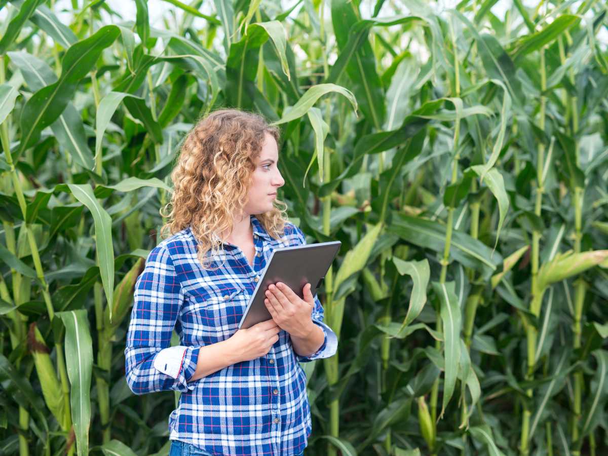 La producción agrícola y acuícola en El Salvador muestra una fuerte concentración territorial, según el Censo Agropecuario 2025.