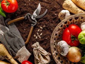 El estrecho de Ormuz es una de las principales rutas comerciales del mundo y su bloqueo impacta el transporte de fertilizantes y alimentos.