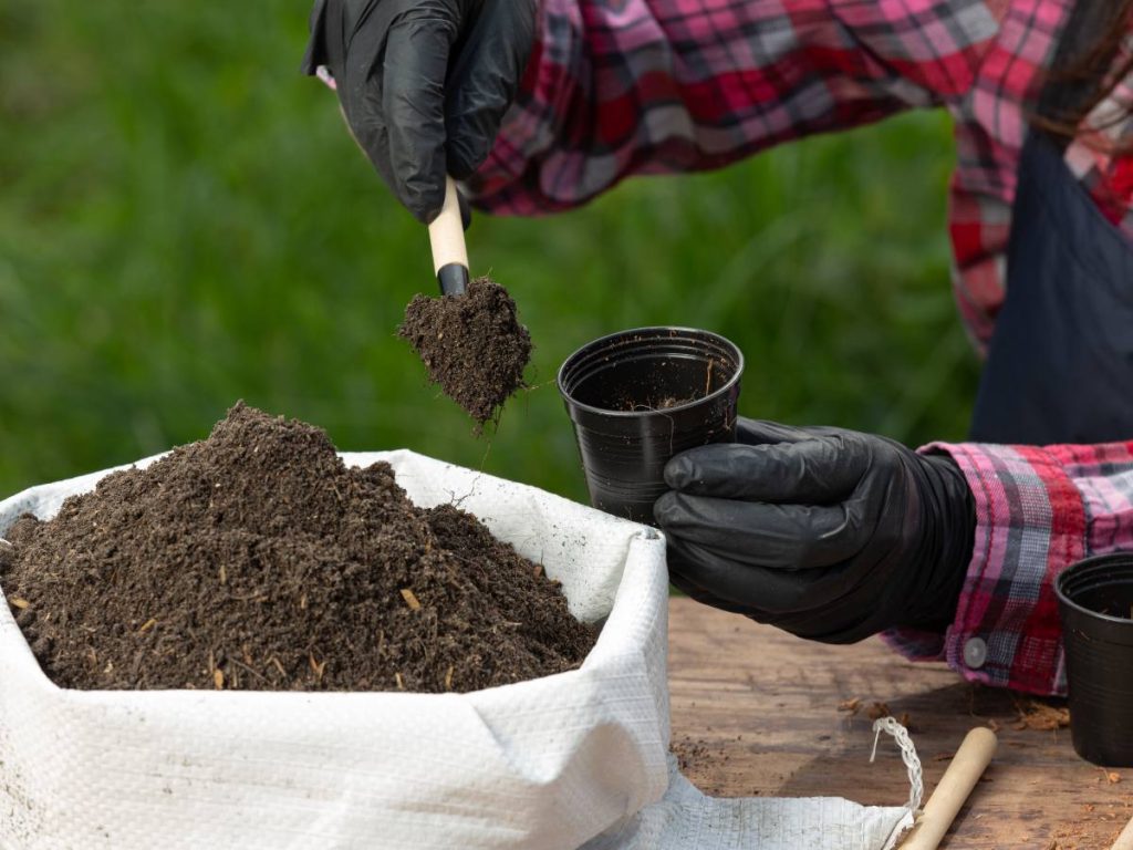 La interrupción en Ormuz pone en riesgo el suministro agrícola global, afectando a países dependientes de importaciones como India, Brasil y Tailandia.