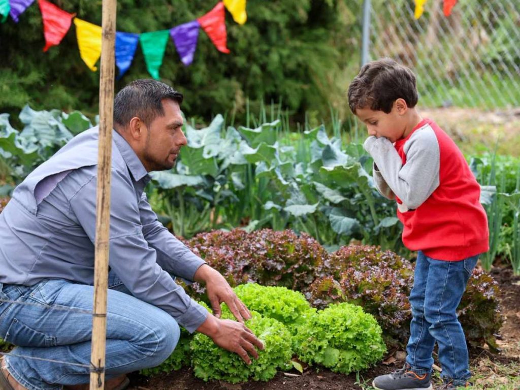 Huerto infantil promueve aprendizaje práctico sobre alimentación y medio ambiente.