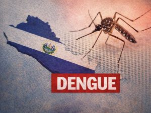 El Salvador suma 8 casos de dengue y más de 1,100 sospechosos