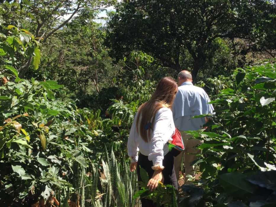 Los propietarios de la cafetería visitaron fincas salvadoreñas antes de incluir el grano en su menú.