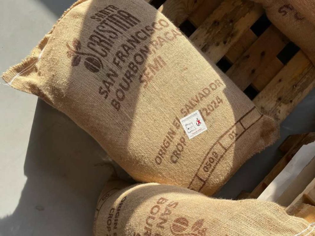 El café salvadoreño destaca por su versatilidad en preparaciones como cappuccino y métodos filtrados.