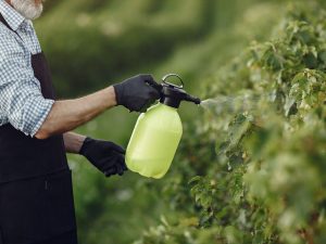 Agricultores enfrentan el alza en fertilizantes en plena temporada de siembra, lo que incrementa los costos y pone en riesgo los rendimientos de los cultivos.