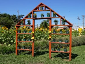 El festival combina naturaleza, gastronomía y actividades para todas las edades.
