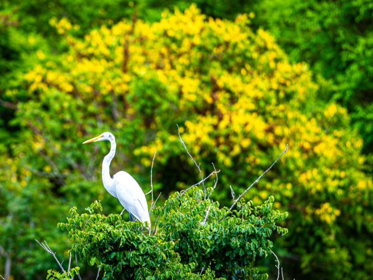 hoyo-gabriel-metapan-santa-ana08