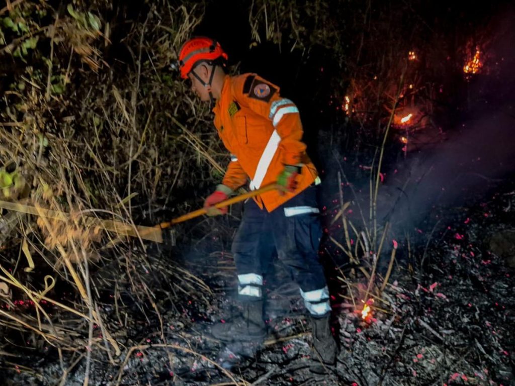 El incendio en el cerro San Jacinto movilizó a cuerpos de emergencia y evidenció el aumento de incendios registrados en el país en lo que va de 2026. Fotografía/ Protección Civil