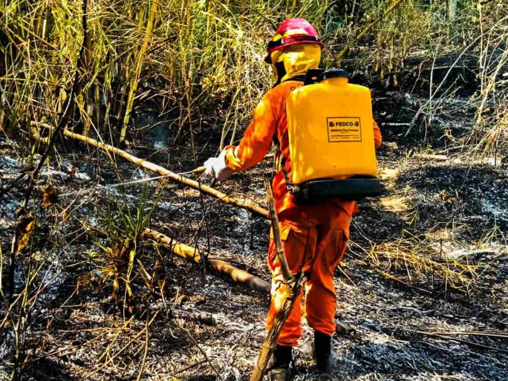 Autoridades reportan más de 2,600 incendios atendidos entre enero y marzo, mientras continúan las labores de prevención y respuesta a nivel nacional. Fotografía/ Protección Civil