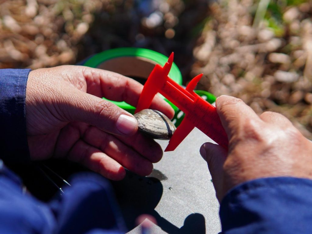Este trabajo dará paso al Programa Nacional de Conservación de Bivalvos Continentales, con investigación, rescate en época seca y educación ambiental para proteger estos moluscos y los humedales.