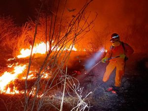 Incendios forestales se disparan 510 % en El Salvador, alerta Bomberos