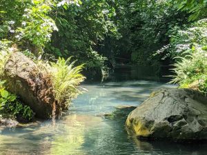 noticias-turismo-poza-el-borbollon-sonsonate01 (1)