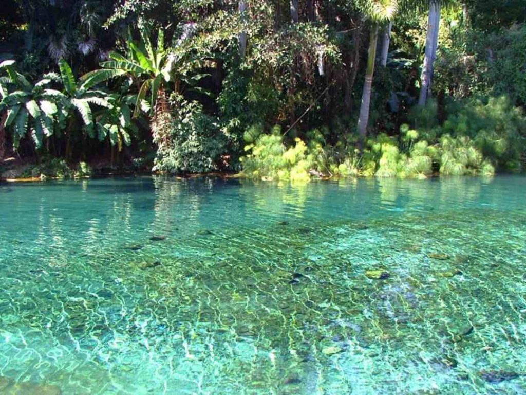 Rodeada de abundante vegetación y formaciones rocosas, la Poza El Borbollón ofrece un ambiente ideal para el descanso y el turismo de naturaleza en el occidente del país.