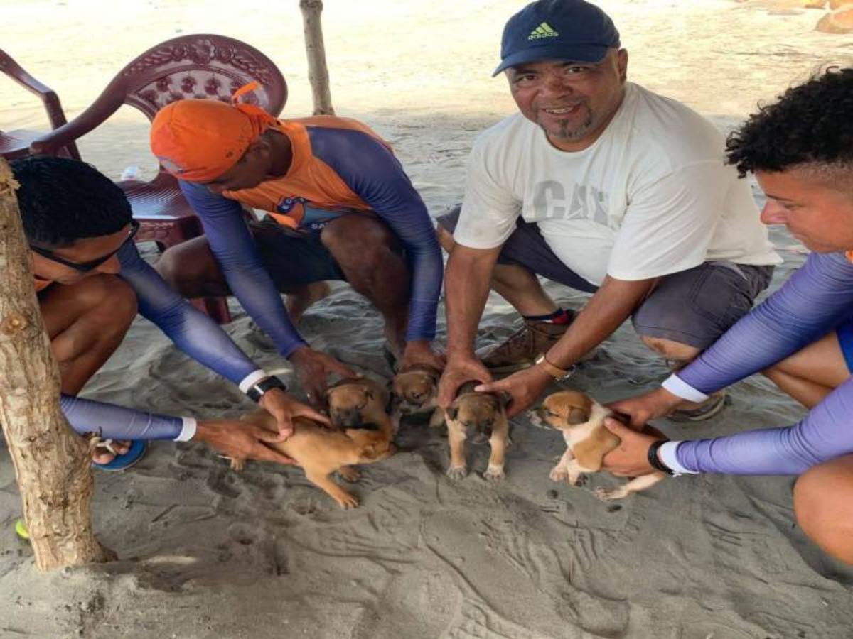 Voluntarios y habitantes de la zona rescataron a varios perros que habían quedado atrapados entre rocas en una playa de Usulután.