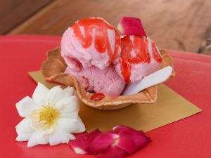 ruta-sorbete-artesanal-sv03