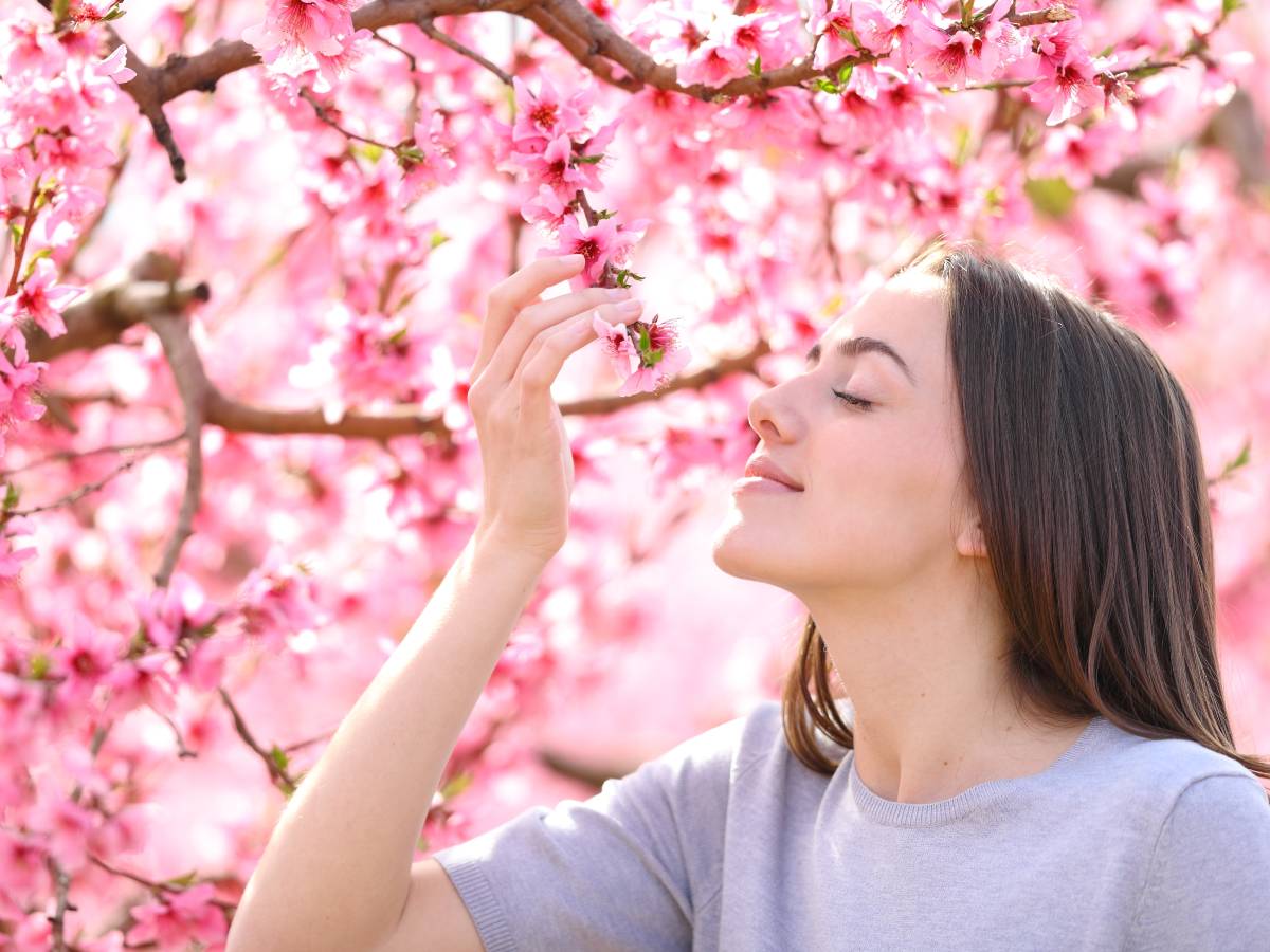 El ciclo nasal alterna el flujo de aire entre las fosas nasales para proteger la mucosa y filtrar los miles de litros de aire que respiramos cada día.