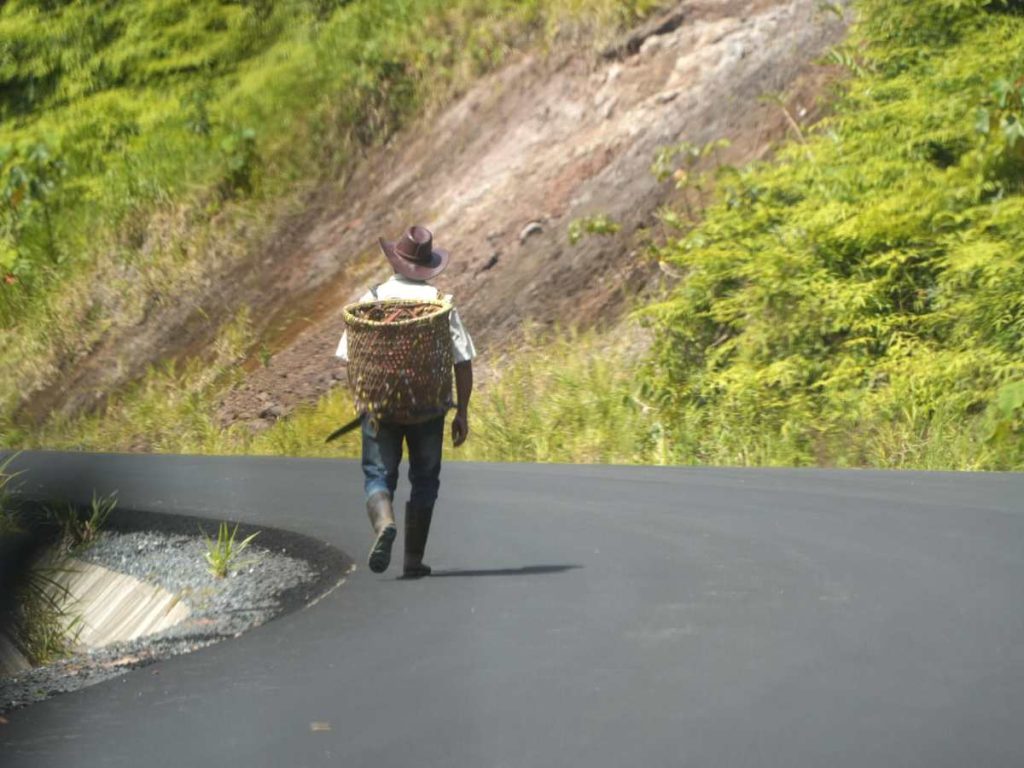 El proyecto busca impulsar el turismo ecológico sin afectar la conectividad de la fauna silvestre.