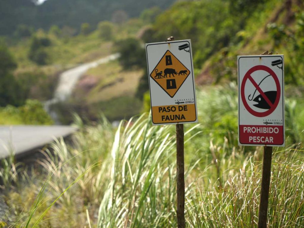 La nueva carretera ecológica incluye pasos de fauna para especies como jaguares, pumas y monos.