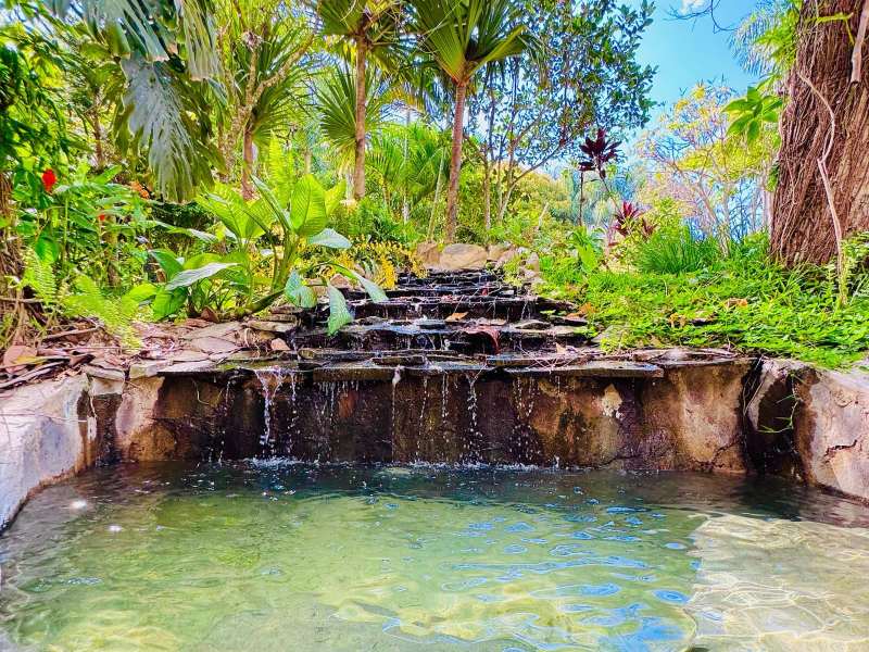 Más de 14 piscinas de aguas termales naturales te esperan en Termales Alicante, un rincón de tranquilidad en las montañas de Ahuachapán.