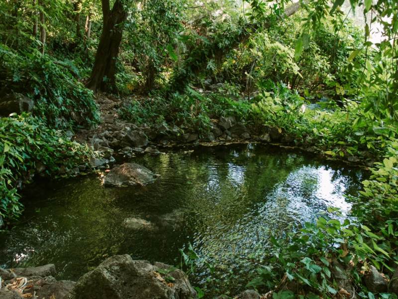 Finca El Milagro ofrece contacto directo con la naturaleza en un entorno rústico y familiar.