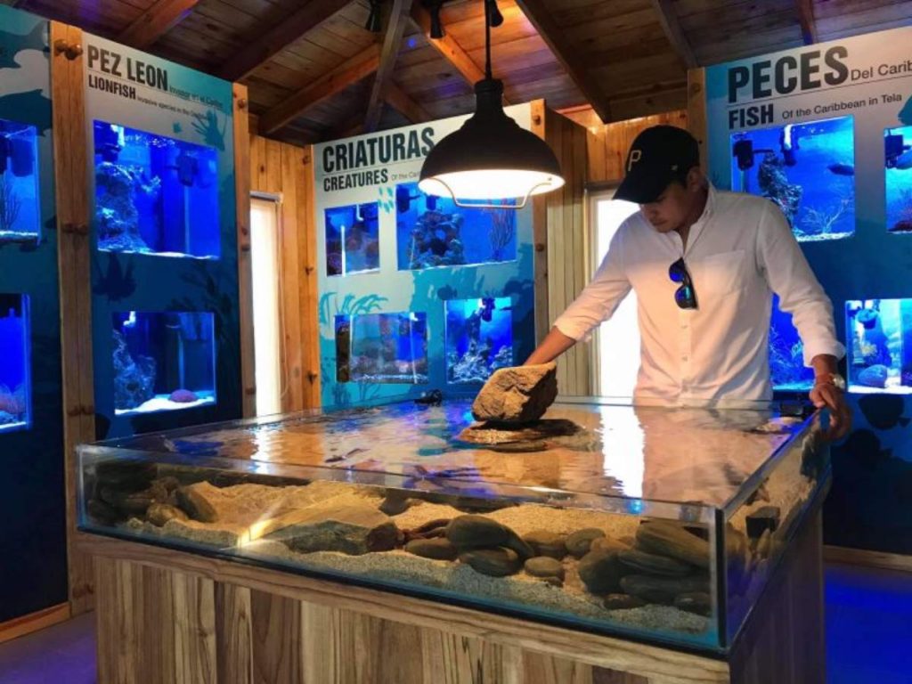 Honduras-Tela-Marine-turismo-Centroamérica