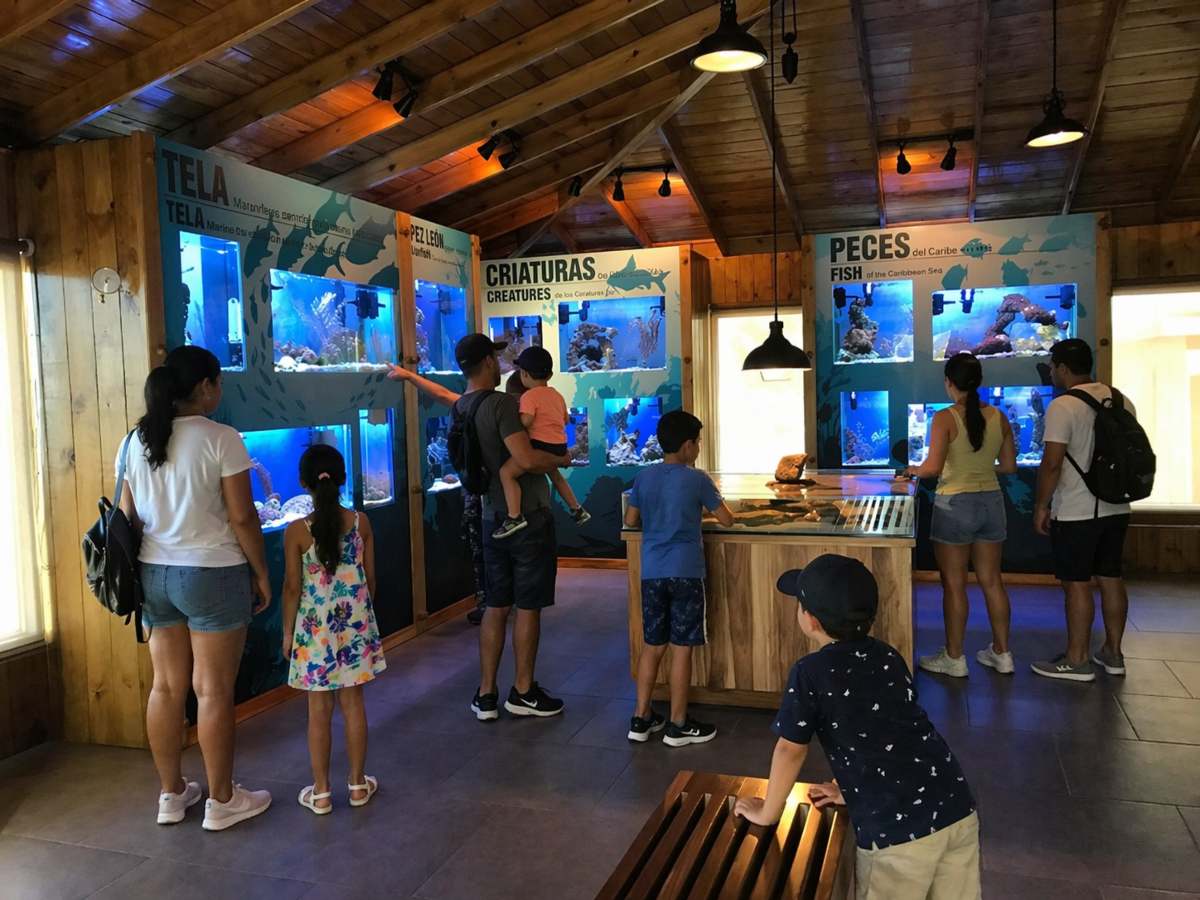 Honduras-Tela-Marine-turismo-Centroamérica