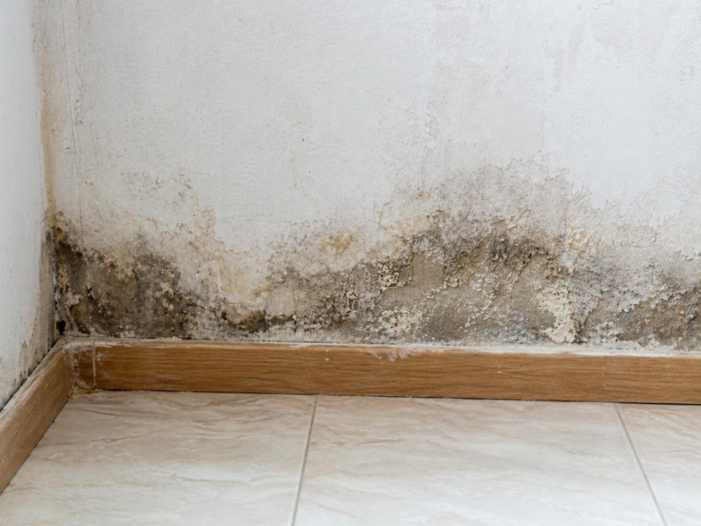 Humedad-filtración de agua