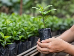 Planta-Medio-ambiente