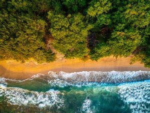 ¿Planeás visitar las Áreas Naturales Protegidas? Evitá dañarlas con estos consejos