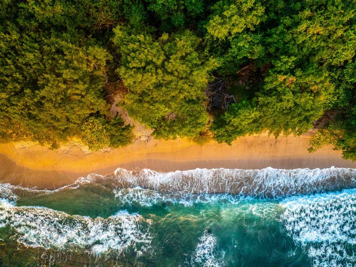 Playa-areas-naturales-protegidas