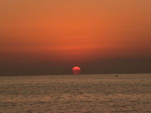 Atardeceres y mapaches: el encanto natural que sorprende en Acajutla