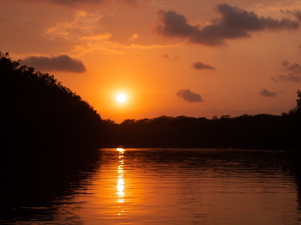 El atardecer transforma el paisaje y convierte el paseo en kayak en un momento íntimo y memorable.