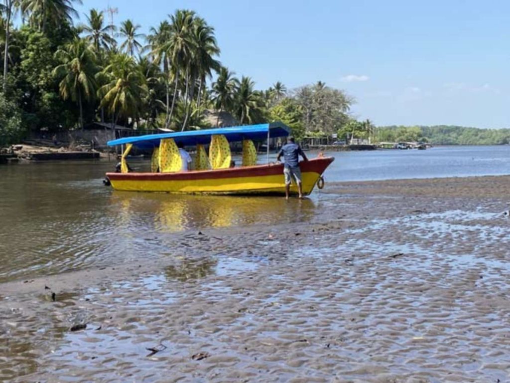 Los recorridos en lancha revelan la biodiversidad única que convierte a Barra de Santiago en un destino imperdible.