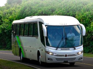 Los Buses Alegres ofrecen transporte ida y vuelta al Festival del Café en Chalatenango por $9.