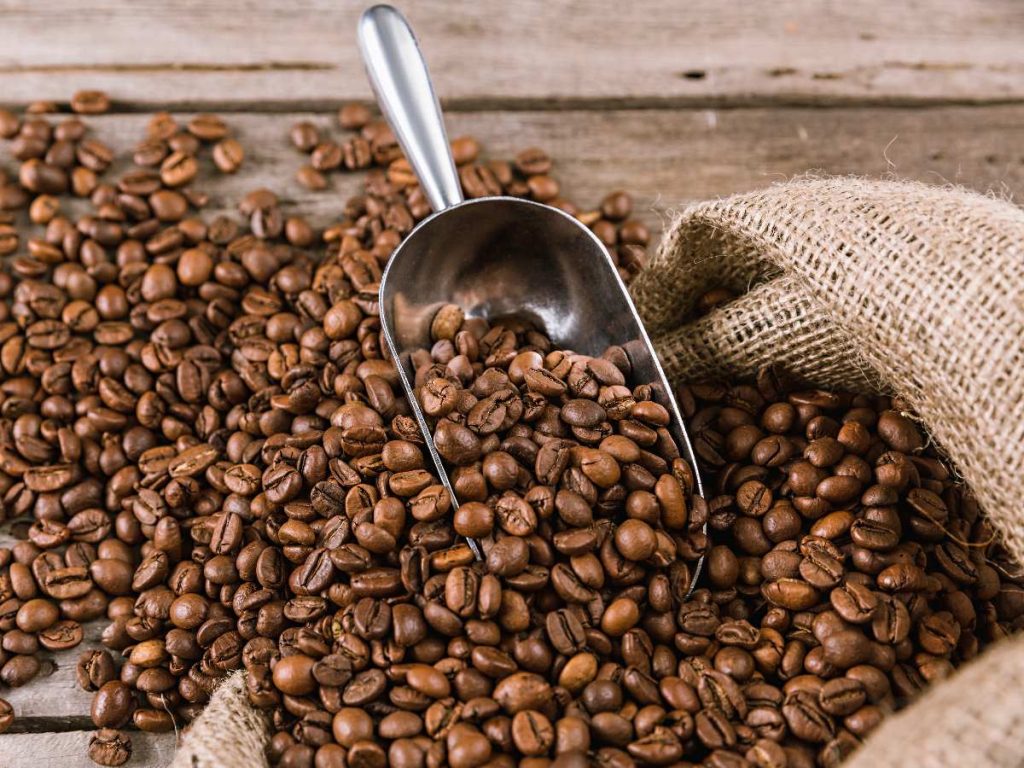 Productores salvadoreños incrementaron su participación en la Taza de Excelencia 2026, alcanzando un récord de 108 muestras de café.