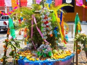 dia-altares-cruz-auchitoto01