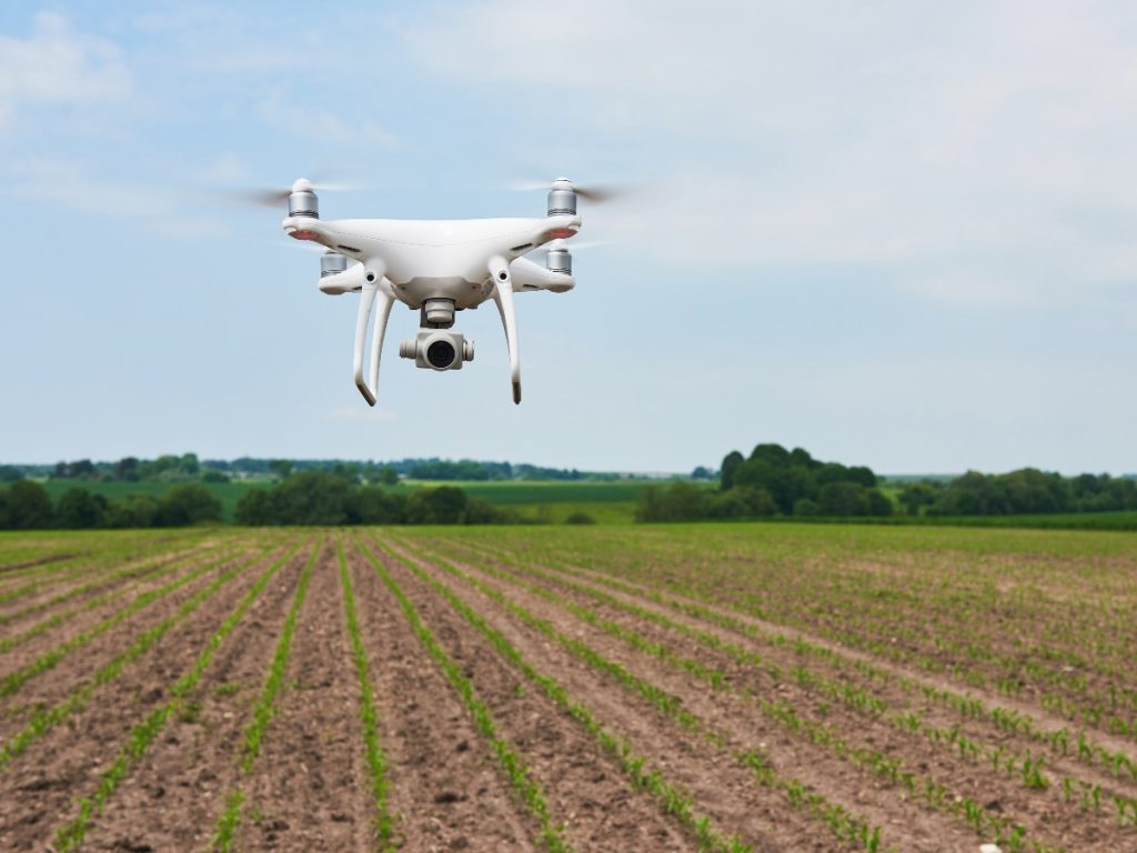 Para participar, los interesados deben completar un formulario en línea con datos personales, información de su emprendimiento y ubicación.