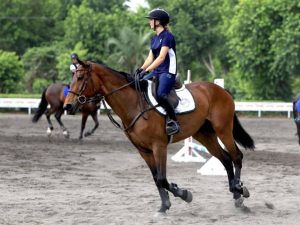 Jinetes en formación practican salto de obstáculos en uno de los principales centros ecuestres del país.