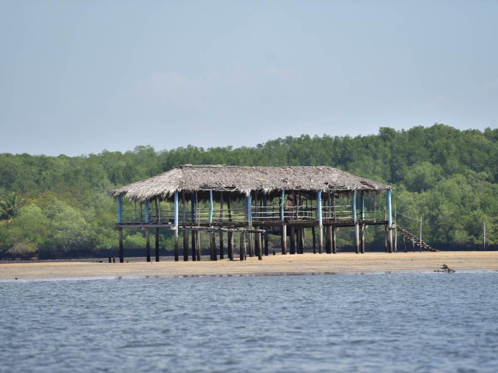Canales rodeados de manglares hacen del Estero Jaltepeque un refugio natural único en la Costa del Sol.