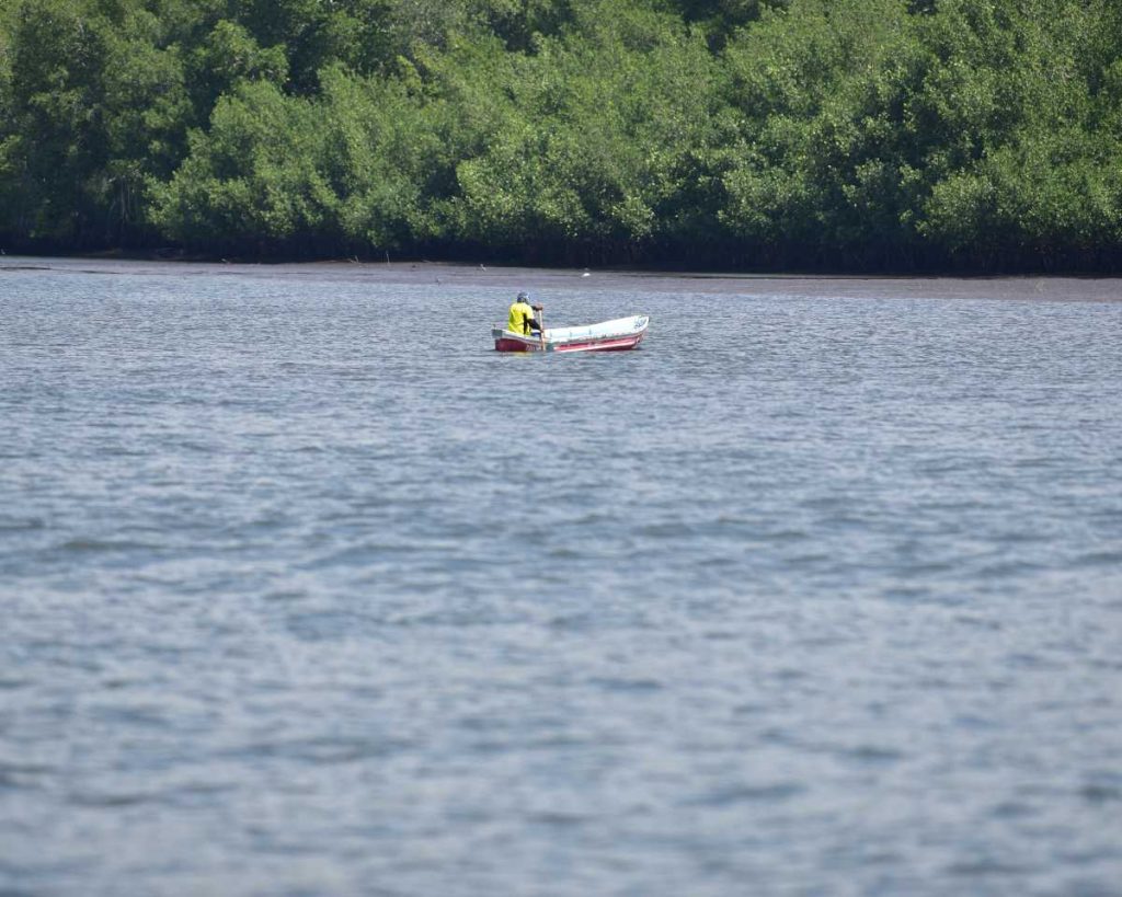 El kayak es una de las formas más cercanas de explorar los canales del Estero Jaltepeque.